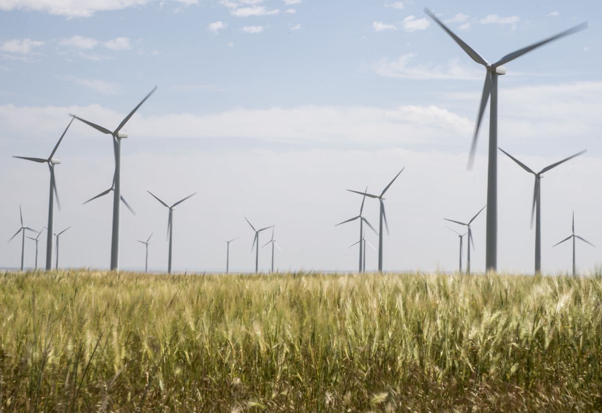 ‘Leadership is coming from the cities:’ Bozeman among local governments leading push for clean energy in Montana