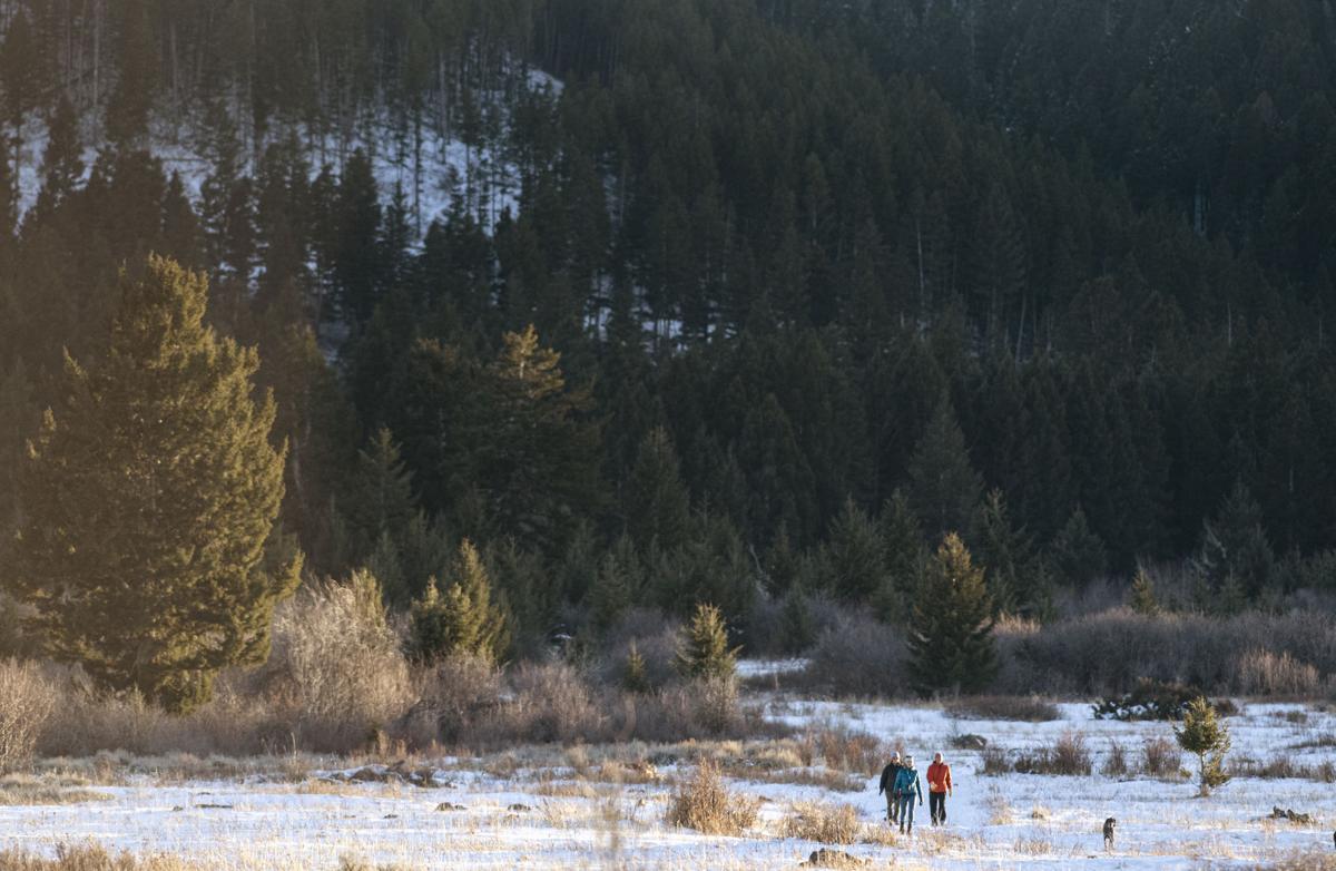 Montana officials release plan aimed at forest health, wildfire risk
