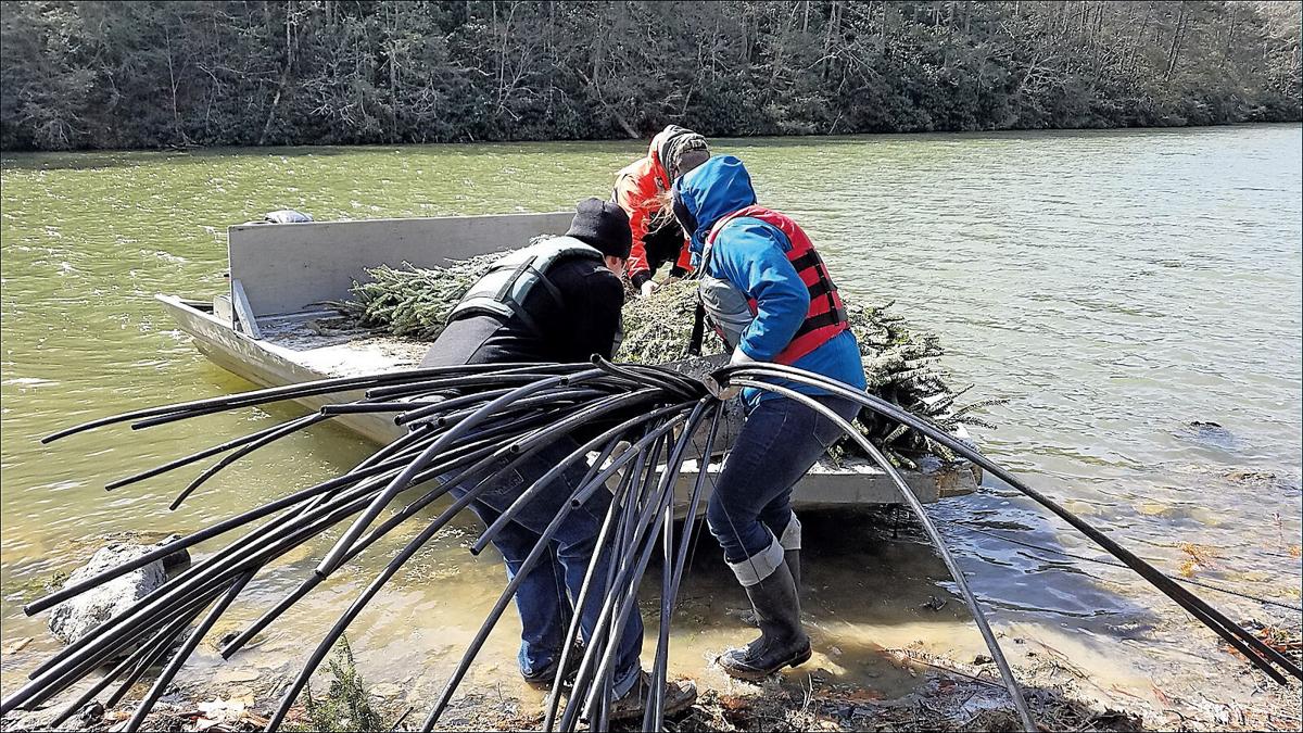 Christmas trees recycled to build lake habitats