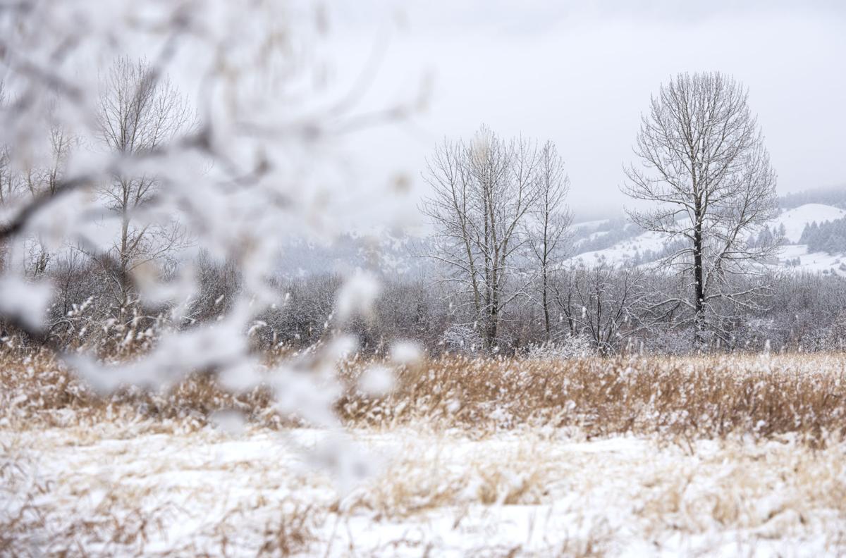 Light snow, mild weather predicted for weekend in Bozeman